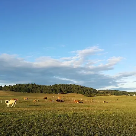 Old School Hiša za goste 3*