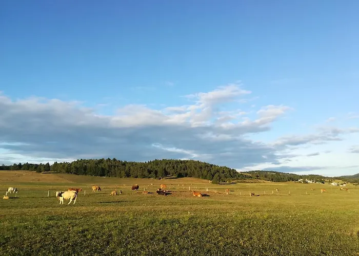 Old School 게스트하우스 3*