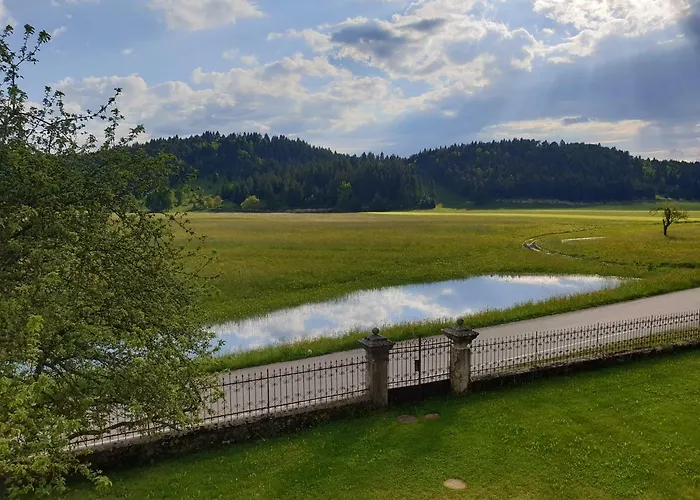 Old School 게스트하우스 3*